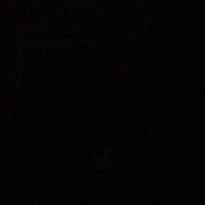 Meet your Posher, Joey